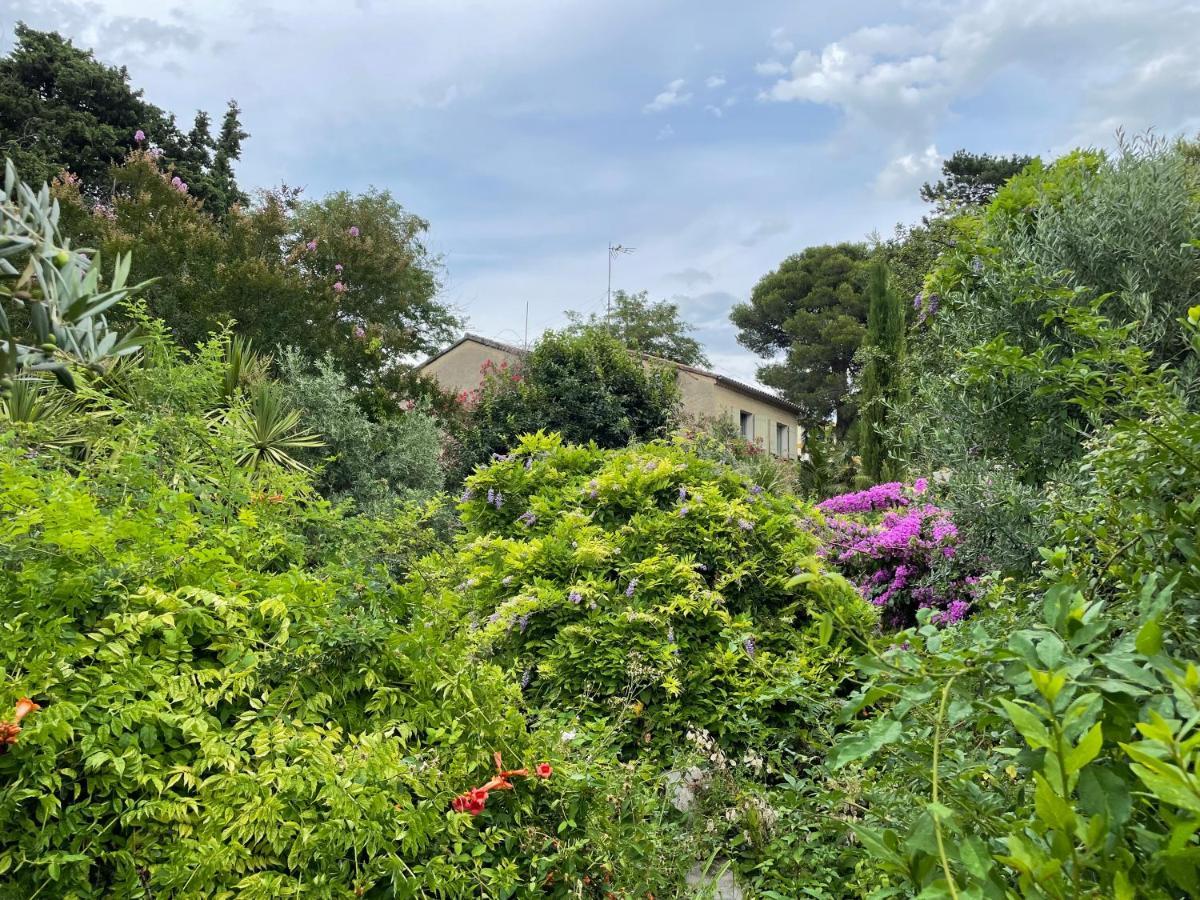 Villa Leona Clim Park Bollène Exteriör bild