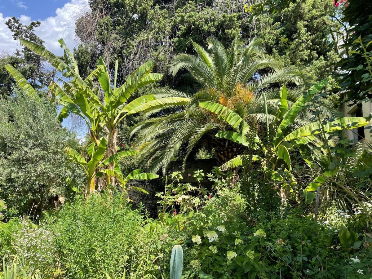 Villa Leona Clim Park Bollène Exteriör bild